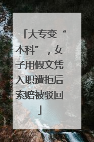 大专变“本科”，女子用假文凭入职遭拒后索赔被驳回