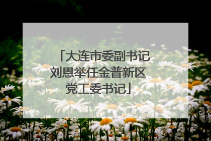 大连市委副书记刘恩举任金普新区党工委书记