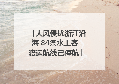 大风侵扰浙江沿海 84条水上客渡运航线已停航