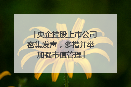 央企控股上市公司密集发声，多措并举加强市值管理