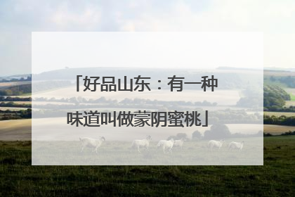 好品山东：有一种味道叫做蒙阴蜜桃
