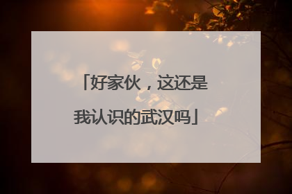好家伙，这还是我认识的武汉吗