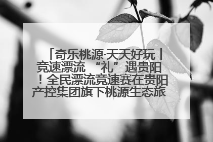 奇乐桃源·天天好玩丨竞速漂流 “礼”遇贵阳！全民漂流竞速赛在贵阳产控集团旗下桃源生态旅游度假区举行