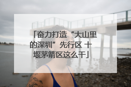 奋力打造“大山里的深圳”先行区 十堰茅箭区这么干