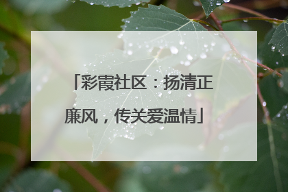 彩霞社区：扬清正廉风，传关爱温情