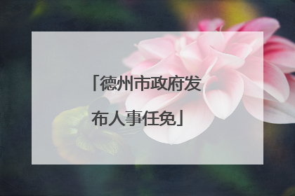 德州市政府发布人事任免