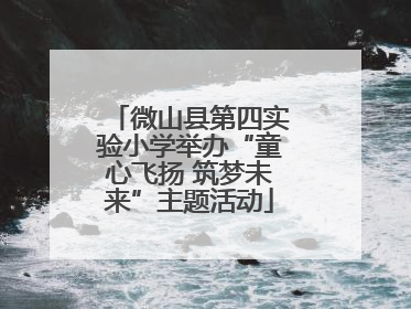 微山县第四实验小学举办“童心飞扬 筑梦未来”主题活动
