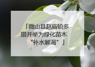 微山县赵庙镇多措并举为绿化苗木“补水解渴”