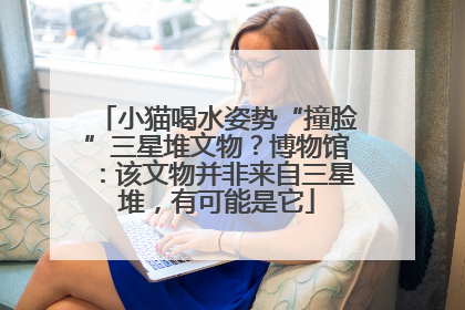小猫喝水姿势“撞脸”三星堆文物？博物馆：该文物并非来自三星堆，有可能是它