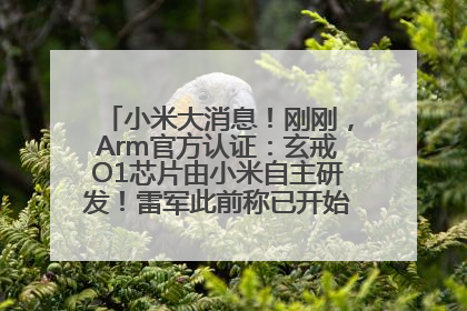 小米大消息！刚刚，Arm官方认证：玄戒O1芯片由小米自主研发！雷军此前称已开始大规模量产
