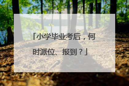 小学毕业考后，何时派位、报到？