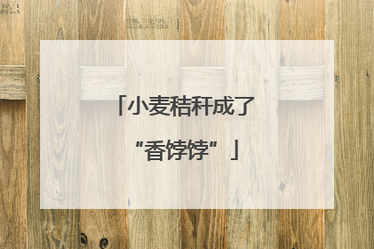 小麦秸秆成了“香饽饽”