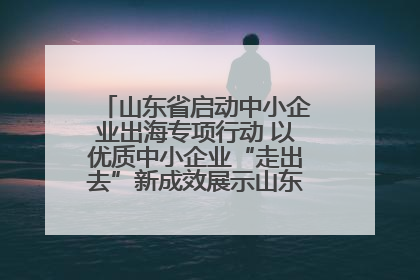 山东省启动中小企业出海专项行动 以优质中小企业“走出去”新成效展示山东产业发展新形象