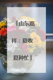 山东嘉祥：夏收夏种忙