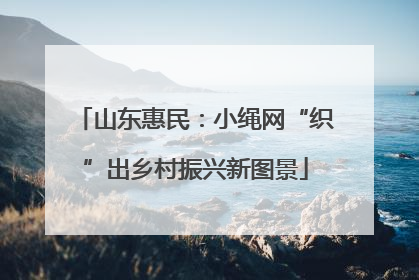 山东惠民：小绳网“织”出乡村振兴新图景
