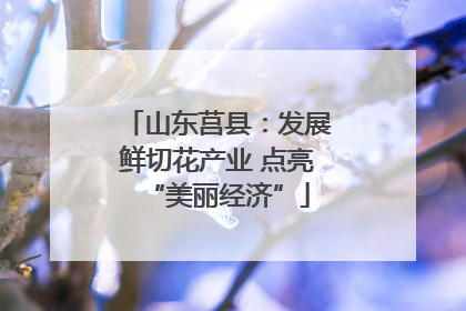 山东莒县：发展鲜切花产业 点亮“美丽经济”