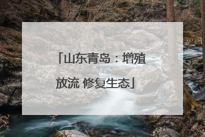 山东青岛：增殖放流 修复生态