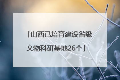 山西已培育建设省级文物科研基地26个