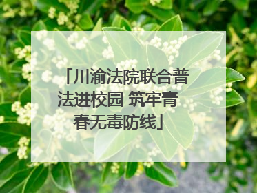 川渝法院联合普法进校园 筑牢青春无毒防线