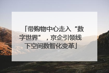 带购物中心走入“数字世界”，京企引领线下空间数智化变革