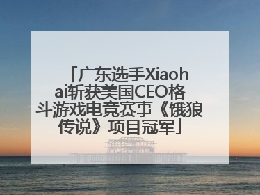 广东选手Xiaohai斩获美国CEO格斗游戏电竞赛事《饿狼传说》项目冠军