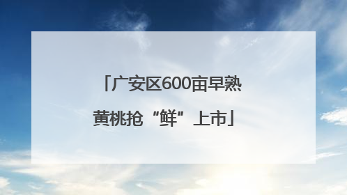广安区600亩早熟黄桃抢“鲜”上市