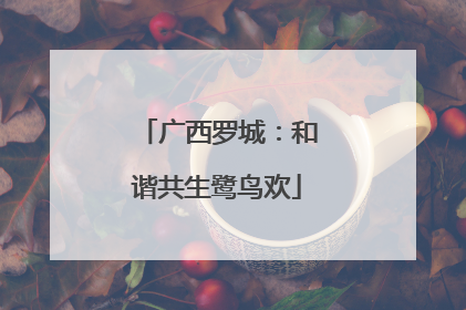 广西罗城：和谐共生鹭鸟欢