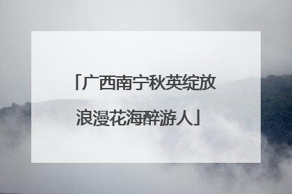 广西南宁秋英绽放 浪漫花海醉游人