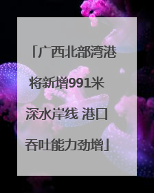 广西北部湾港将新增991米深水岸线 港口吞吐能力劲增