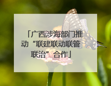 广西涉海部门推动“联建联动联管联治”合作