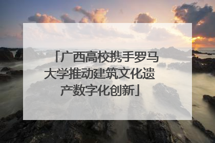 广西高校携手罗马大学推动建筑文化遗产数字化创新