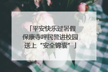 平安快乐过暑假 保康寺坪民警进校园送上“安全锦囊”