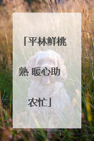 平林鲜桃熟 暖心助农忙