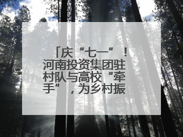 庆“七一”！河南投资集团驻村队与高校“牵手”，为乡村振兴添新活力