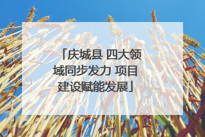 庆城县 四大领域同步发力 项目建设赋能发展