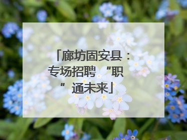 廊坊固安县：专场招聘 “职”通未来