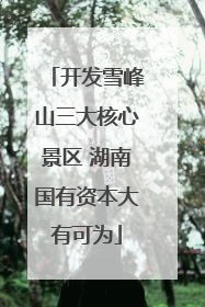 开发雪峰山三大核心景区 湖南国有资本大有可为