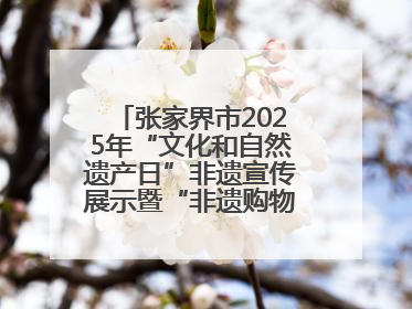 张家界市2025年“文化和自然遗产日”非遗宣传展示暨“非遗购物节”活动在慈利县盛大启幕