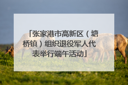 张家港市高新区（塘桥镇）组织退役军人代表举行端午活动