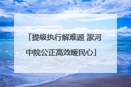 提级执行解难题 漯河中院公正高效暖民心