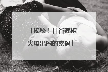 揭秘！甘谷辣椒火爆出圈的密码