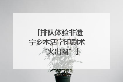 排队体验非遗 宁乡木活字印刷术“火出圈”