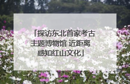 探访东北首家考古主题博物馆 近距离感知红山文化