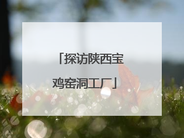 探访陕西宝鸡窑洞工厂