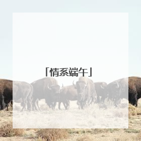 情系端午