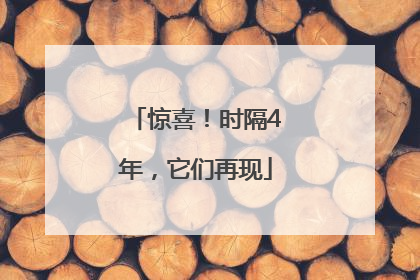 惊喜！时隔4年，它们再现