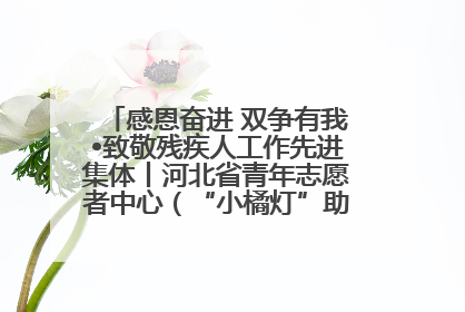 感恩奋进 双争有我•致敬残疾人工作先进集体丨河北省青年志愿者中心（“小橘灯”助残接力计划实施团队）：用温暖陪伴，守护特殊孩子成长