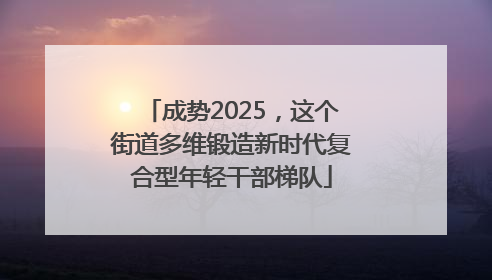 成势2025，这个街道多维锻造新时代复合型年轻干部梯队