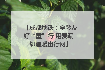 成都地铁：全龄友好“童”行 用爱编织温暖出行网