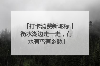 打卡消费新地标丨衡水湖边走一走，有水有鸟有乡愁